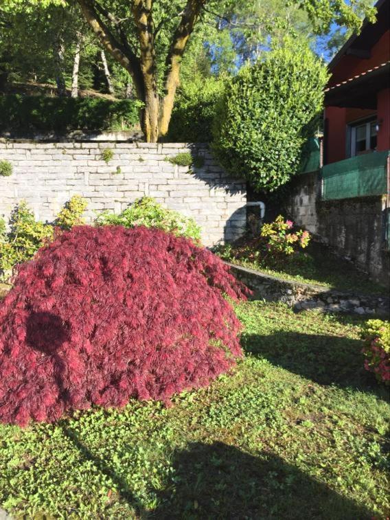 Villa Assunta Premeno Luaran gambar